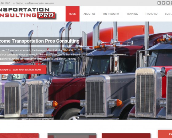 Transportation Pros Consulting