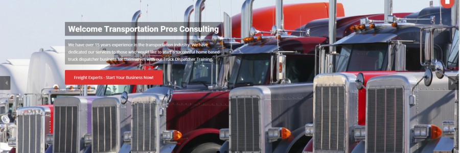 Transportation Pros Consulting